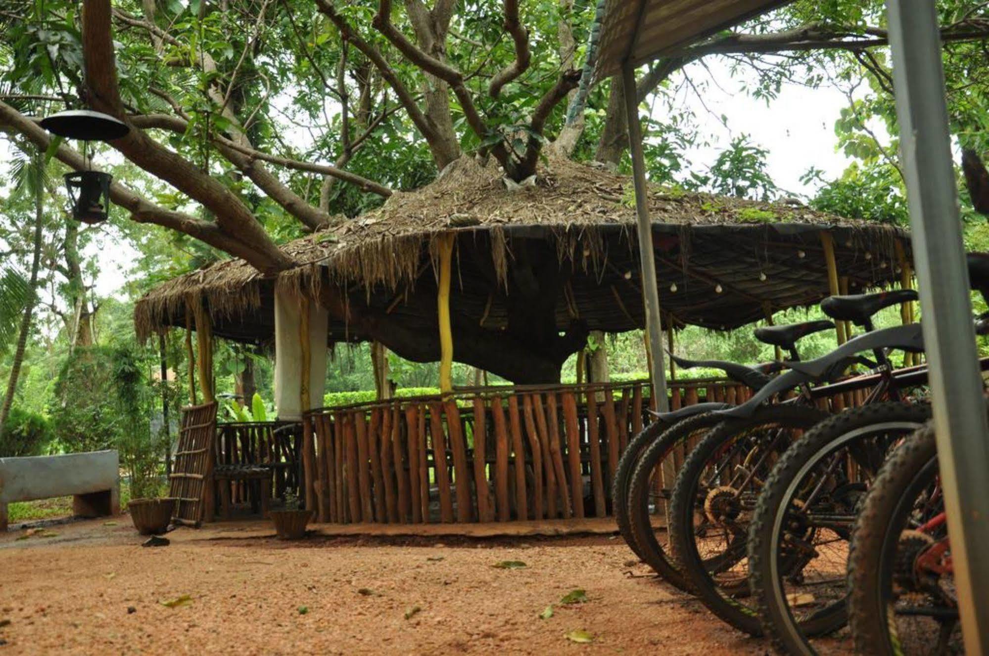 Sujatha Tourist Rest Hotel Dambulla Kültér fotó