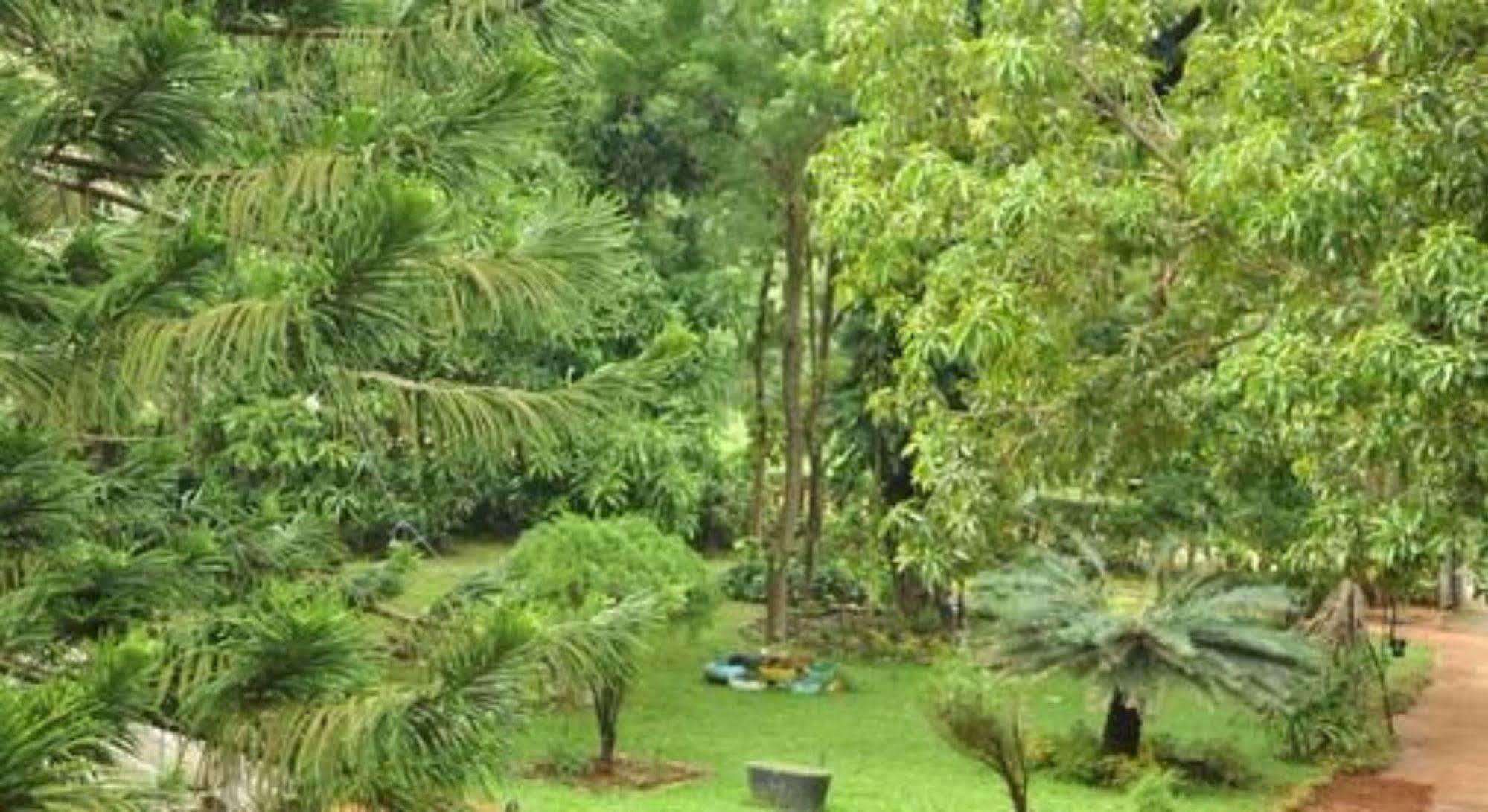 Sujatha Tourist Rest Hotel Dambulla Kültér fotó